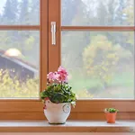 Apartment Sommerwind *